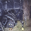 Halloween03-6.jpg