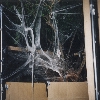 halloween96-02.jpg